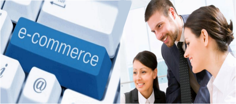 E-Commerce Business